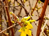20230308_161229.jpg