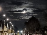 20230308_192618.jpg