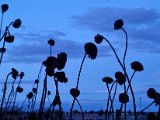 20230309_180729.jpg