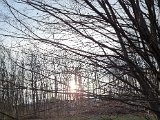 20230310_165757.jpg