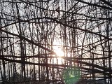 20230310_165808.jpg
