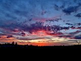 20230313_181558.jpg