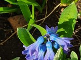 20230316_152944(0).jpg