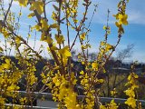 20230317_151346.jpg