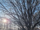 20230317_161842.jpg