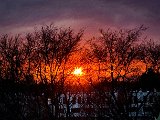 20230320_175536(0).jpg