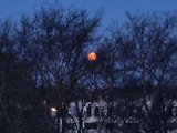 20230405_060611.jpg