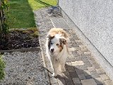 20230406_163339.jpg