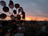 20230406_193612.jpg