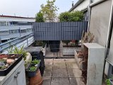20230407_070717.jpg
