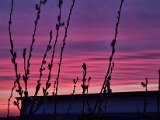 20230411_055918.jpg