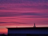 20230411_060108.jpg