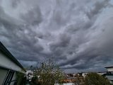 20230411_192535.jpg
