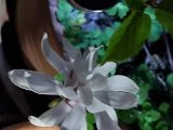 20230412_201305.jpg