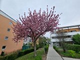 20230418_155303.jpg