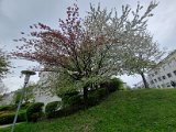 20230418_155348.jpg