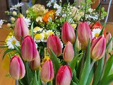 20230419_141040.jpg