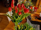 20230420_171250.jpg