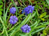 20230421_080946.jpg