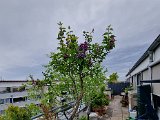 20230428_143955.jpg