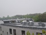 20230429_062320.jpg