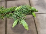 20230429_070755.jpg
