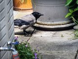 20230509_120817.jpg