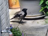 20230509_120818.jpg