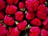 20230509_133631.jpg