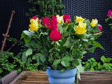 20230517_183833.jpg