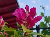 20230520_052214.jpg