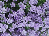 20230521_065334.jpg