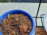 20230527_112451.jpg