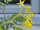20230529_131956.jpg