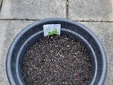 20230531_172513(0).jpg