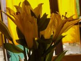 20230603_164205.jpg