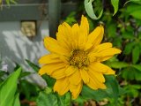 20230604_112126.jpg
