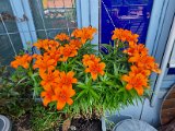 20230616_122943.jpg