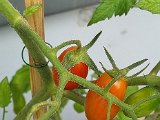 20230703_172605(0).jpg