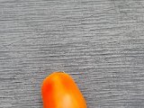 20230703_172655.jpg