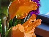 20230704_191106.jpg