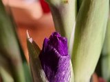 20230704_191220.jpg