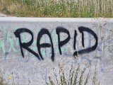 20230705_134501.jpg
