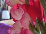 20230707_112005.jpg