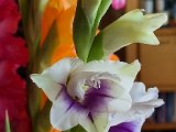 20230707_112034.jpg