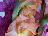 20230707_112045.jpg