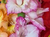 20230707_112054.jpg