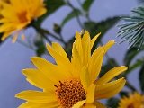 20230707_210824.jpg