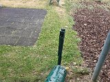 20230713_183850.jpg