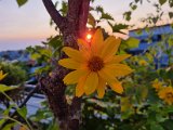 20230714_053130.jpg